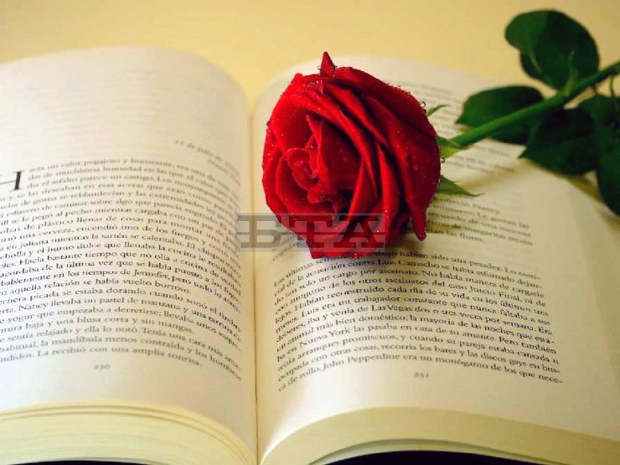 Поетични слова  на автори от Каварна и Балчик ще прозвучат на литературно четене за 14 февруари