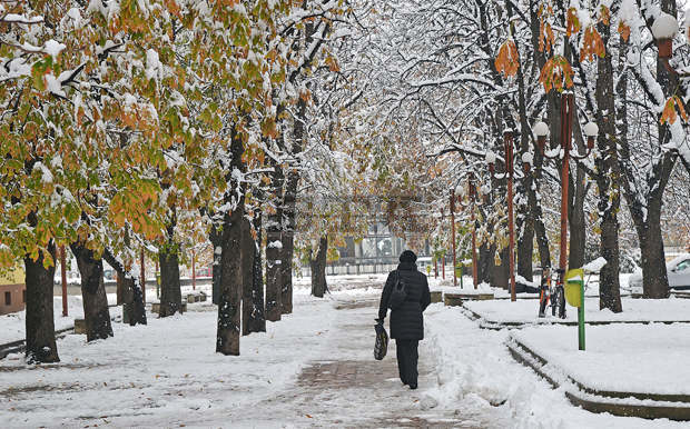 Мокрият сняг и силният вятър са прекъснали проводници и са оставили без ток хора в Монтанско