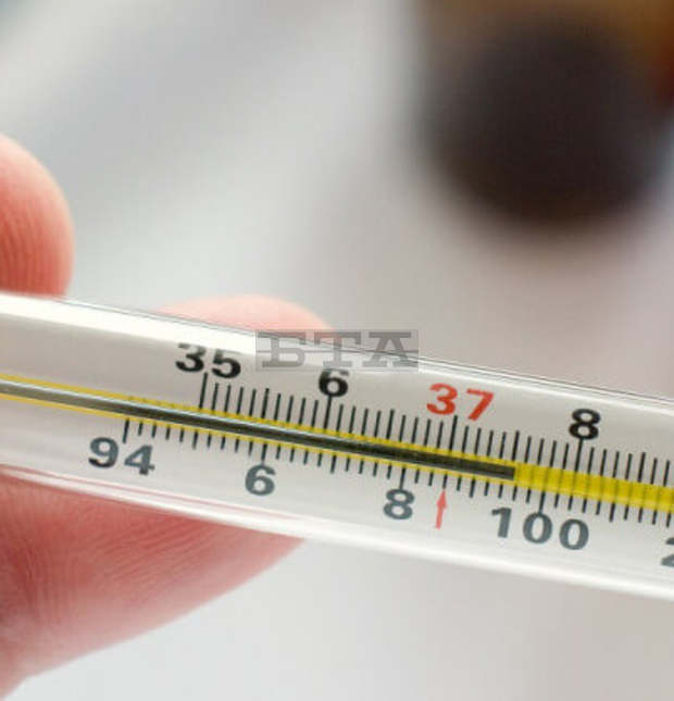 Регионалната здравна инспекция в Ловеч обяви грипна епидемия в община Луковит