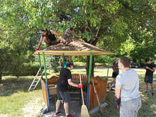 С доброволен труд младежи обновиха беседки в Разград