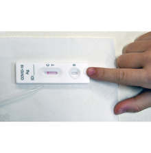 В Добричка област 5624 ученици от пети-дванадесети клас влизат в класните стаи след тестване