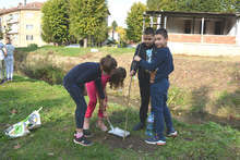 Възпитаниците на 140-годишно училище в Павликени засадиха 140 дръвчета