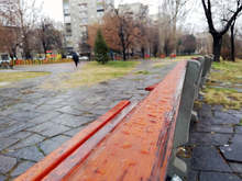 В Асеновград ще бъдат засадени 100 дървета и 10 000 цветя