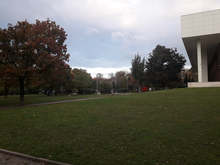 През октомври са проверени над 350 собственика на домашни кучета в столицата