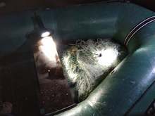 Извадени са 160 метра бракониерски мрежи от водите на язовир "Ястребино" край Антоново