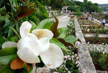 Университетската градина в Балчик постави началото на ботаническа галерия на открито