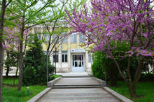 В библиотеката в Силистра обслужването на читателите ще се извършва след представяне на валидни документи за ваксинация, преболедуване и изследване