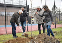 Вековни чинари засадиха във Видин преподаватели по математика