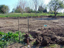 Трета площадка за разхождане на кучета ще бъде изградена в Шумен