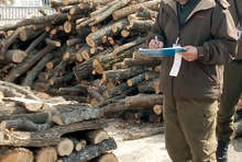 Служителите на три горски стопанства в област Търговище са извършили 366 проверки за седмица