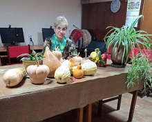 Изложба "Нейно величество - тиквата" подготвя читалището в силистренското село Кайнарджа