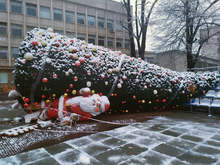 Три села в Габровско още са без ток след силния вятър миналата нощ