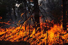 Пожар е избухнал днес следобед в района на полигон "Батмиш" и в гора край сливенското село Селиминово