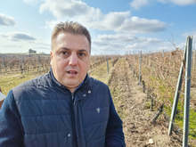 От Националната лозаро-винарска камара предлагат да има субсидия от минимум 300 - 350 лв. на дка за лозарите