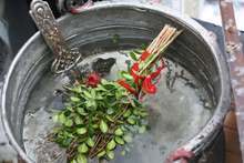 Повече от 1400 са имениците в Добрич