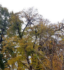 В Плевен утре временно се ограничава движението по част от улица "Борис Шивачев"