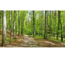 Четири нови противопожарни кули функционират на територията на РДГ Берковица