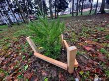 Над 250 дървета са засадени през есенната кампания в Перник