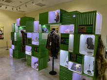 В Плевен утре е последният ден на гостуваща изложба в защита на изчезващи видове животни