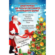 Базар и сценична програма ще има на запалването на светлините на коледната елха в Димитровград