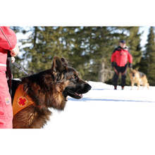 Туристите са по-подготвени за планината, но има и хора, които я подценяват, според планински спасител