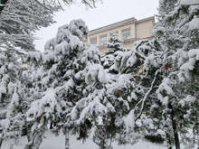 Снежната покривка в Плевен достигна 9 сантиметра, в града се почистват с предимство основните улици