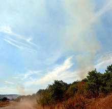 Пожар е възникнал в землището на димитровградското село Добрич
