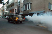 Във Видин продължават пръсканията срещу комари заради голямата им популация през този сезон