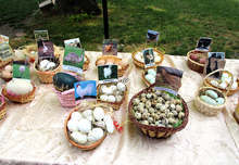 Празникът на яйцето в град Павликени няма да се състои през 2020 г.