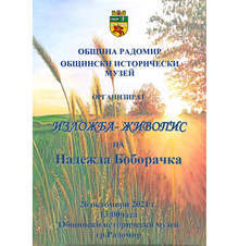 Първа самостоятелна изложба показва утре в Радомир Надежда Боборачка