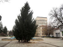 Светлините на коледната елха в Разград ще грейнат празнично на 6 декември