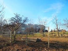 Нова площадка за кучета се изгражда в Разград