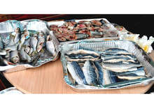 Бургас е домакин на шестото събитие от промоционалната кампания "Фестивал на рибата - вкусно и полезно"