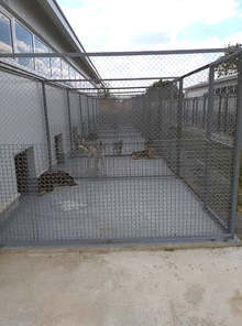 Община Стара Загора изгради съвременен приют за безстопанствени животни