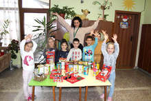 Коледна дарителска кампания на община Трявна събра  над 200 килограма  храна за бездомни кучета