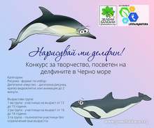 "Зелени Балкани" организират конкурс за творчество "Нарисувай ми делфин!"