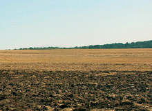 Община Тервел ще предостави на търг 2355 декара земеделски земи под наем