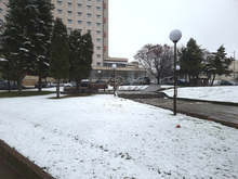 В Плевенско няма сигнали за прекъсване на електрозахранването и водоподаването заради снега