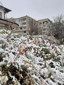 Пътищата в област Разград са проходими при зимни условия