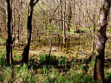 Община Балчик е финалист за "Черноморските Оскари"