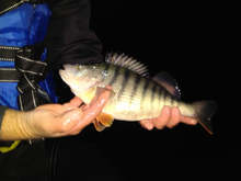 От язовир "Ястребино" са извадени бракониерски мрежи