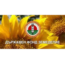 Защитено училище в община Тервел ще разполага с обновена спортна площадка