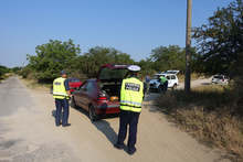 Тридесет и шест растения от рода на конопа са намерени и иззети при специализирана полицейска операция в село Преселка, Шуменско