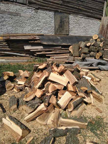 Полицейски служители са разкрили седем случая на крадени дърва при акция в разградската община Завет