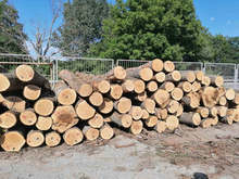 Директорът на ДГС-Върбица е освободен от длъжност