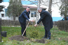 Коледно дръвче от кампанията "Купи елхичка, помогни" беше засадено в двора на полицията в Благоевград