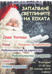 Светлините на живата коледна елха в Димитровград ще бъдат запалени на 30 ноември
