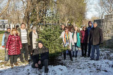 Музейни работници посадиха елхи в Разград