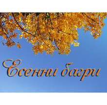 Изложба "Есенни багри" е подредена в Трън