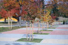 Над 200 фиданки са засадени в Северния парк през тази есен